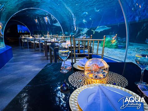 20 TOP Hotels Near Manila Ocean Park, Manila 2024 .